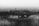 A black and white landscape featuring a cityscape in the background and a grassy path leading to two horses in the foreground. The skyline is slightly blurred, giving a sense of distance, while the grasses on either side of the path are more defined. The overall ambiance is calm and somewhat nostalgic.