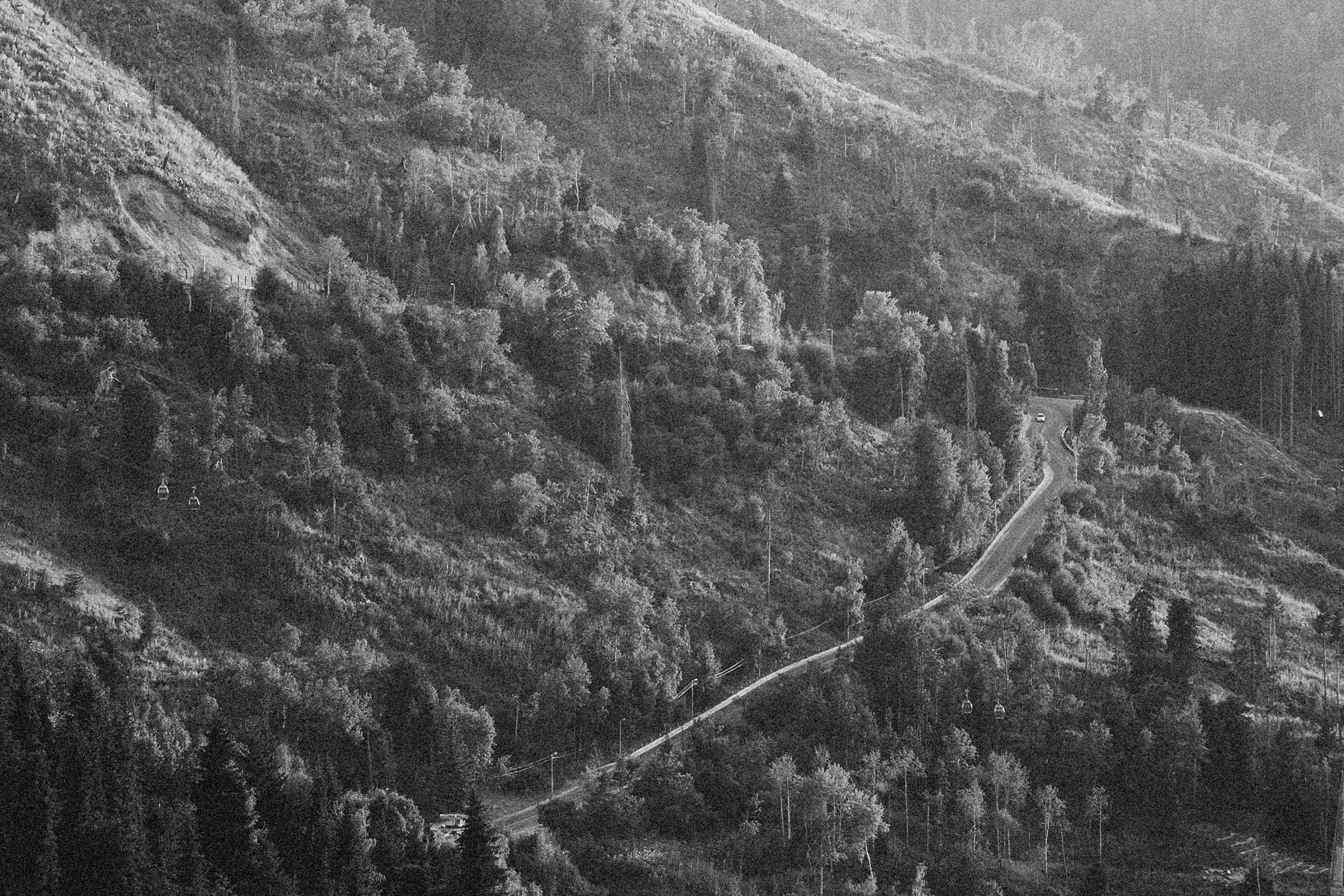 Photo by alexeydemidov