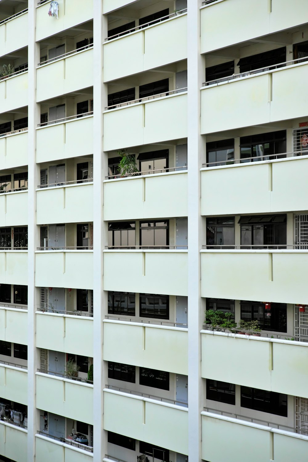 a tall white building with lots of windows