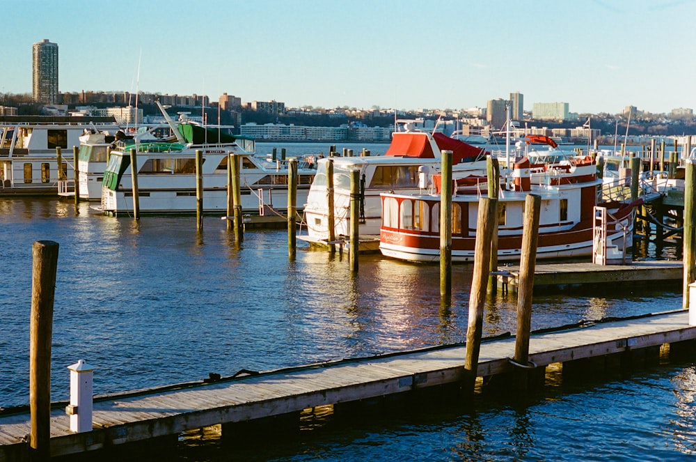 a group of boats docked at a pier