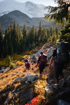 a group of people hiking up a mountain
