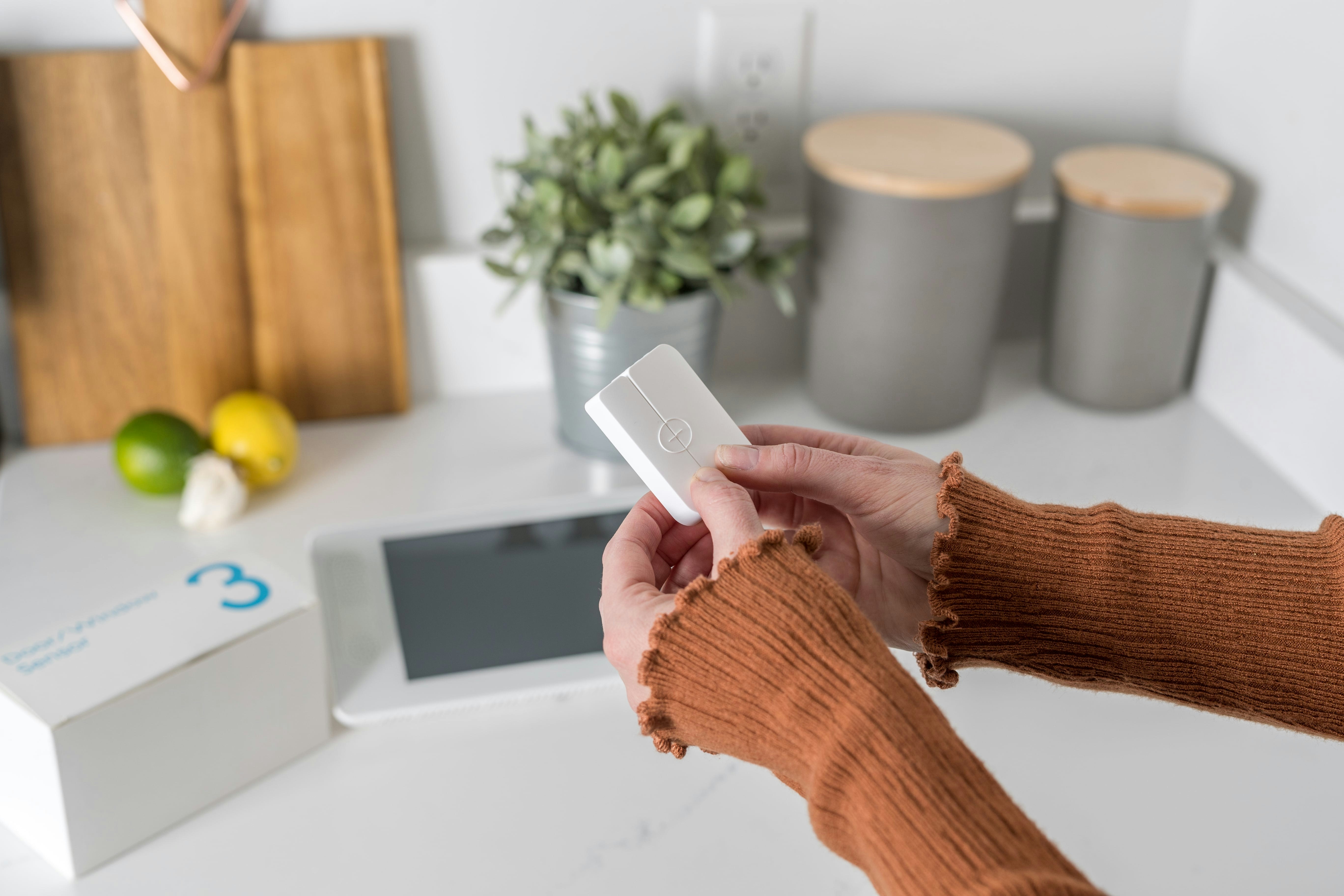 Photo by naomimorriston