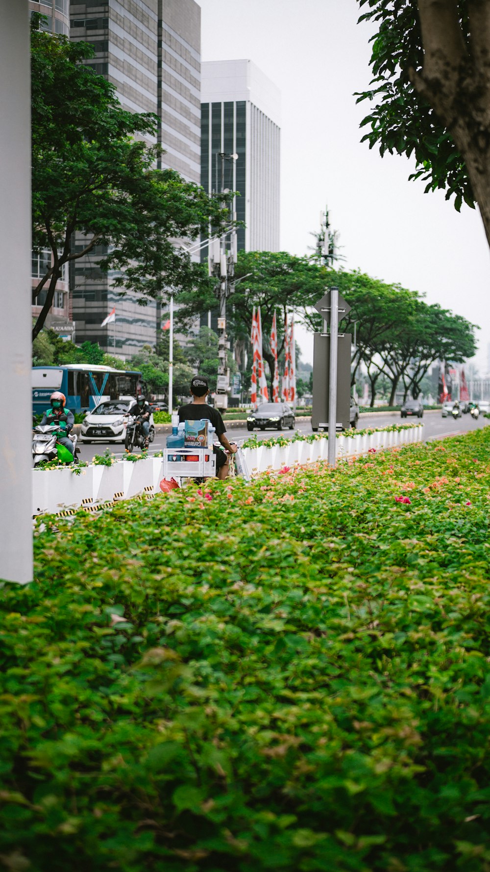 a man riding a bike down a street next to a lush green field