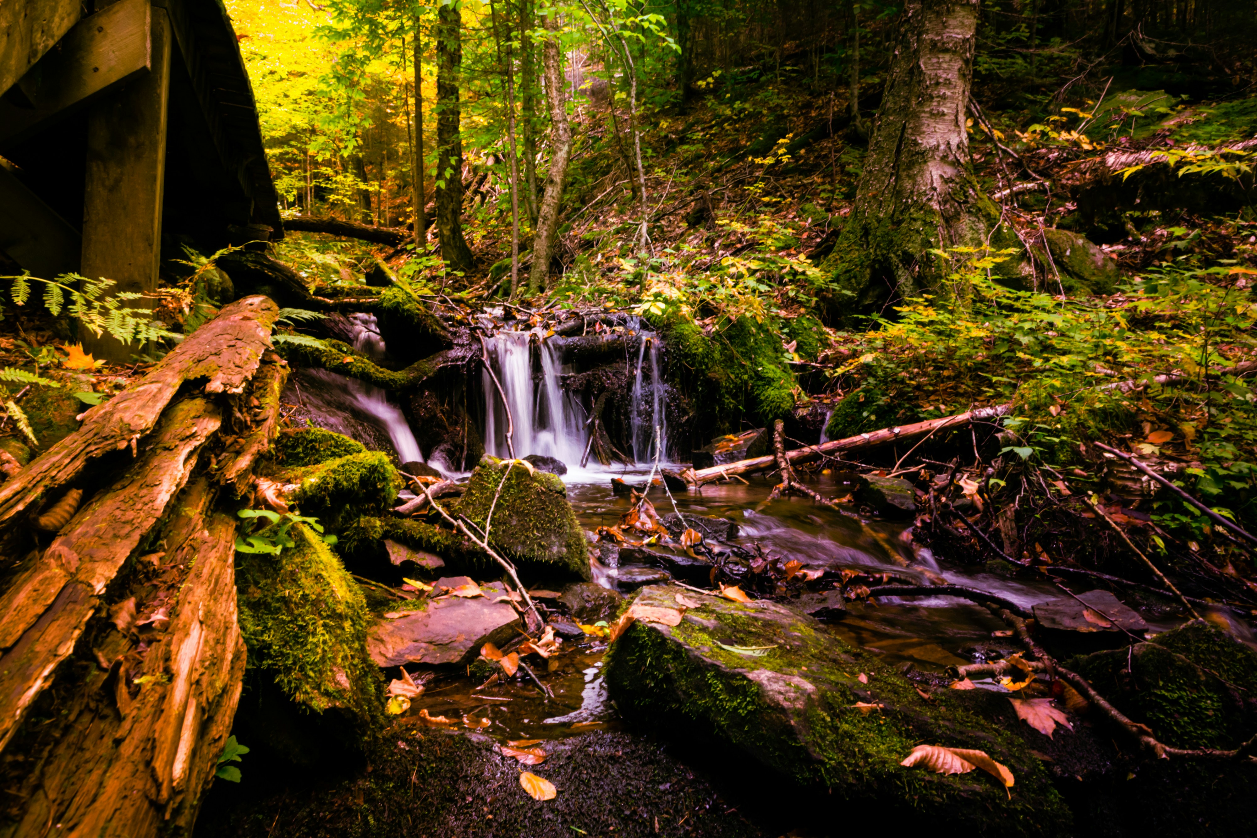 a small waterfall in the middle of a forest