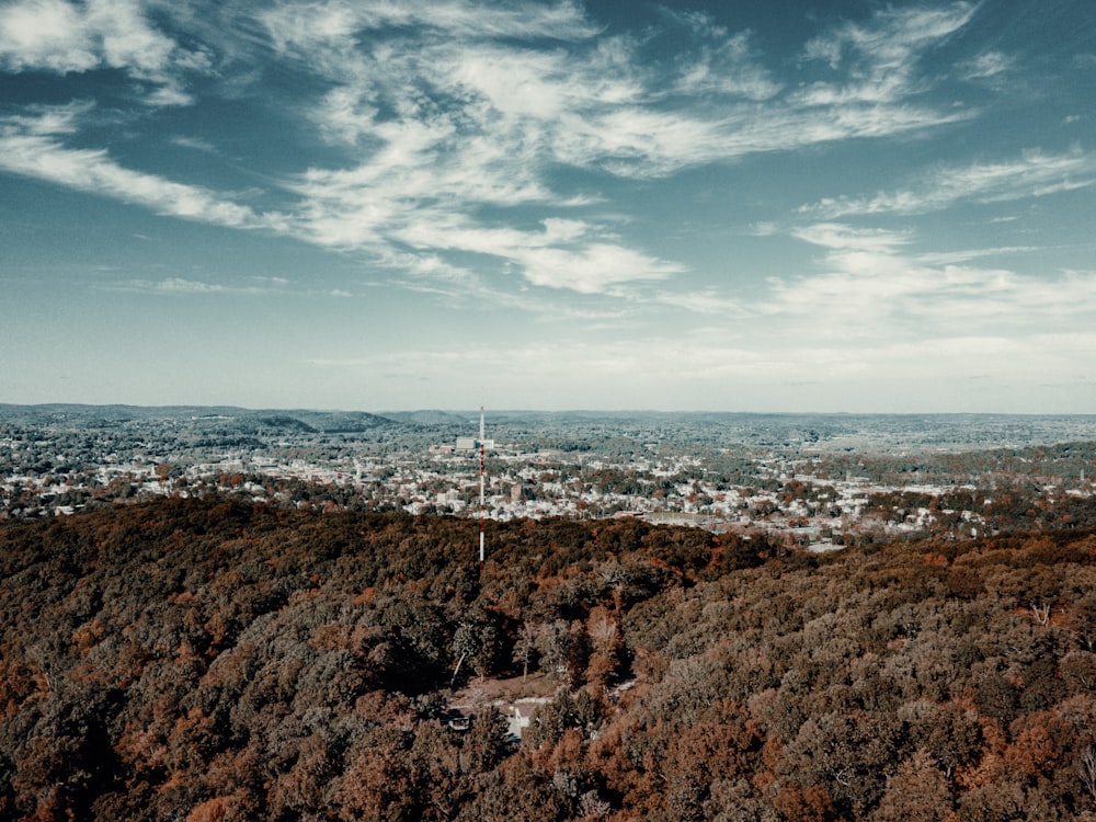 a view of a city from the top of a hill