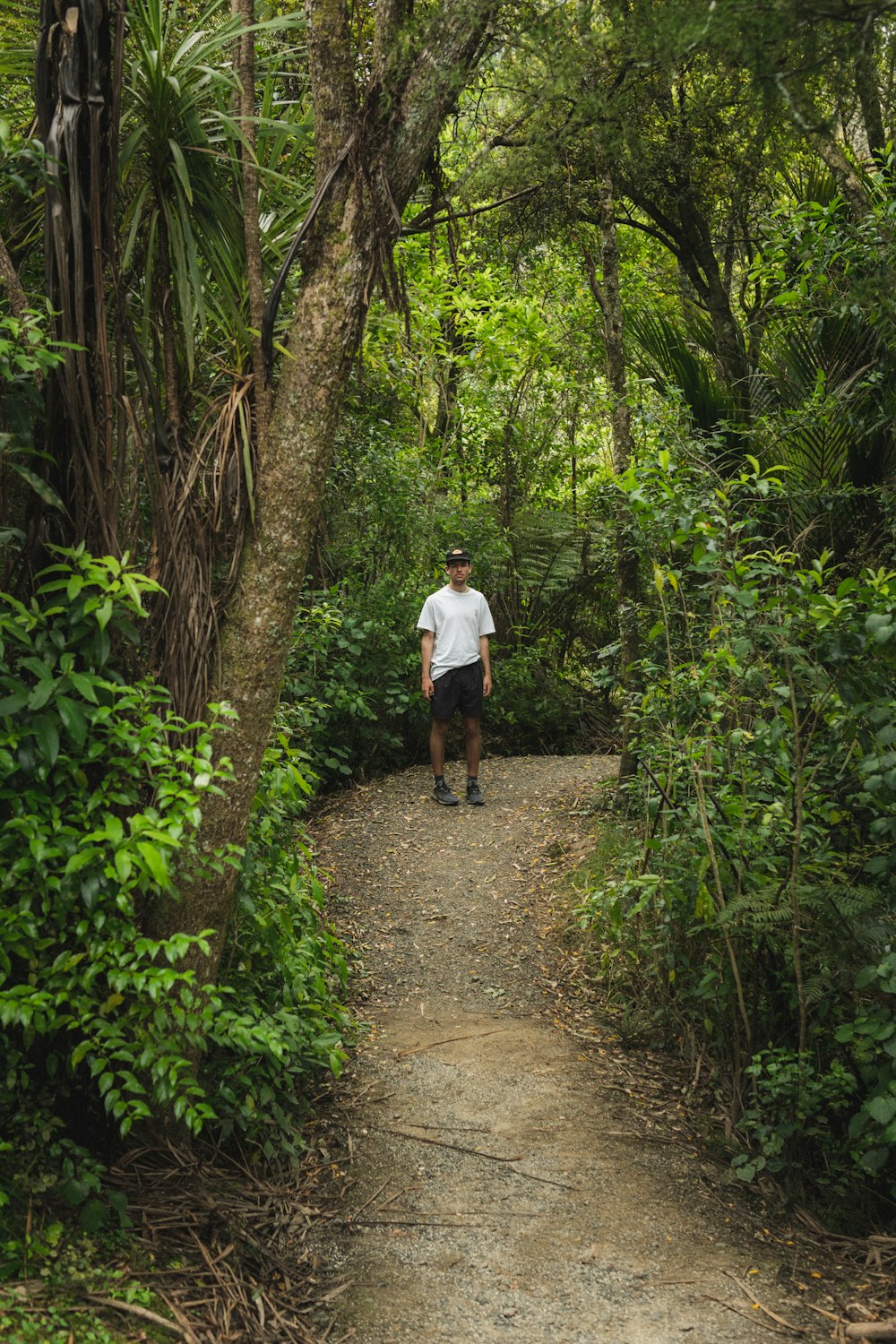 a man standing on a path in the middle of a forest