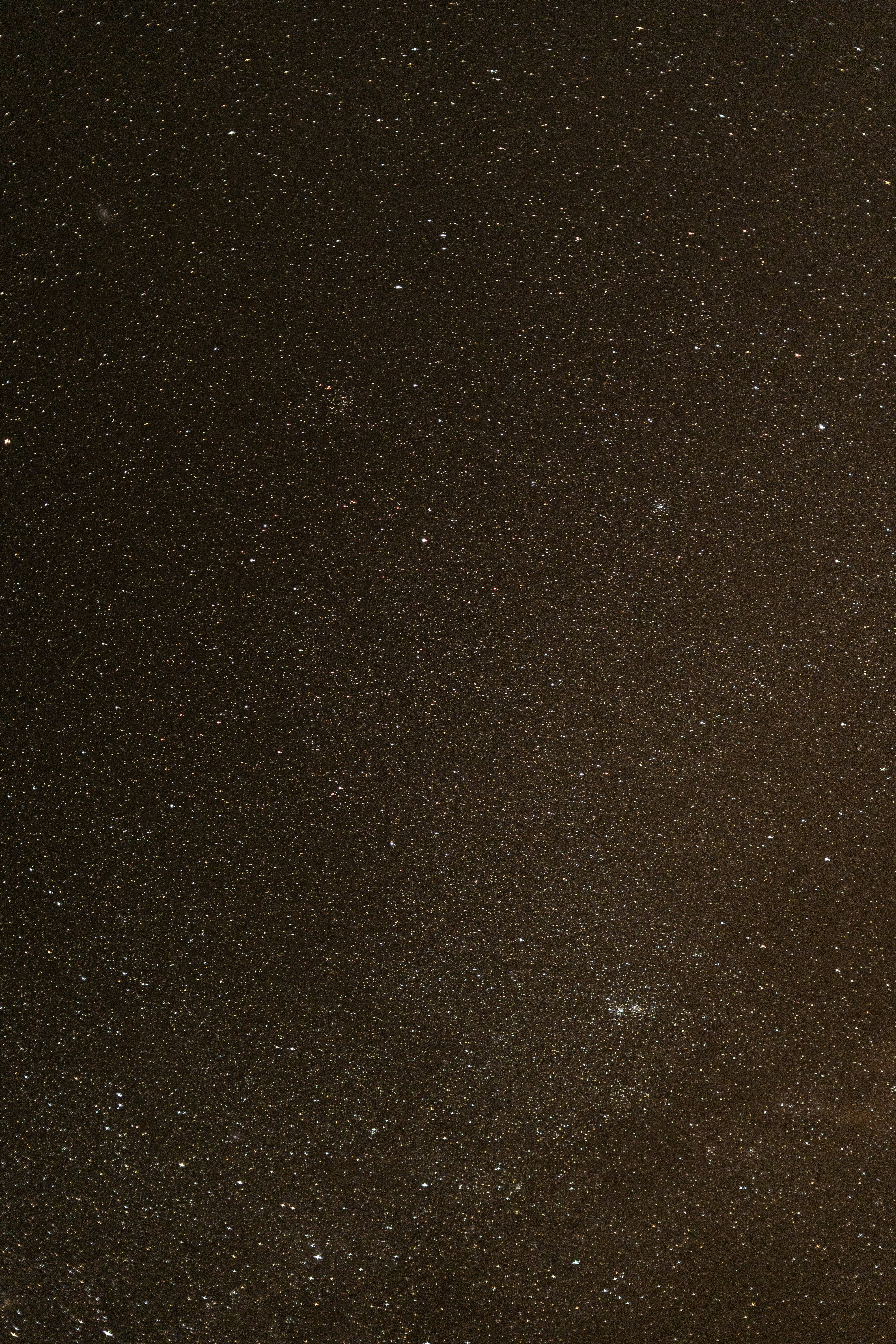 Photo by mohammaddadkhah