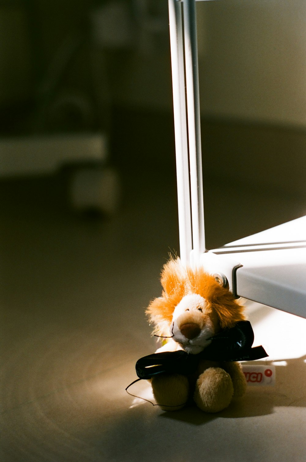 a stuffed animal sitting on the floor in front of a mirror