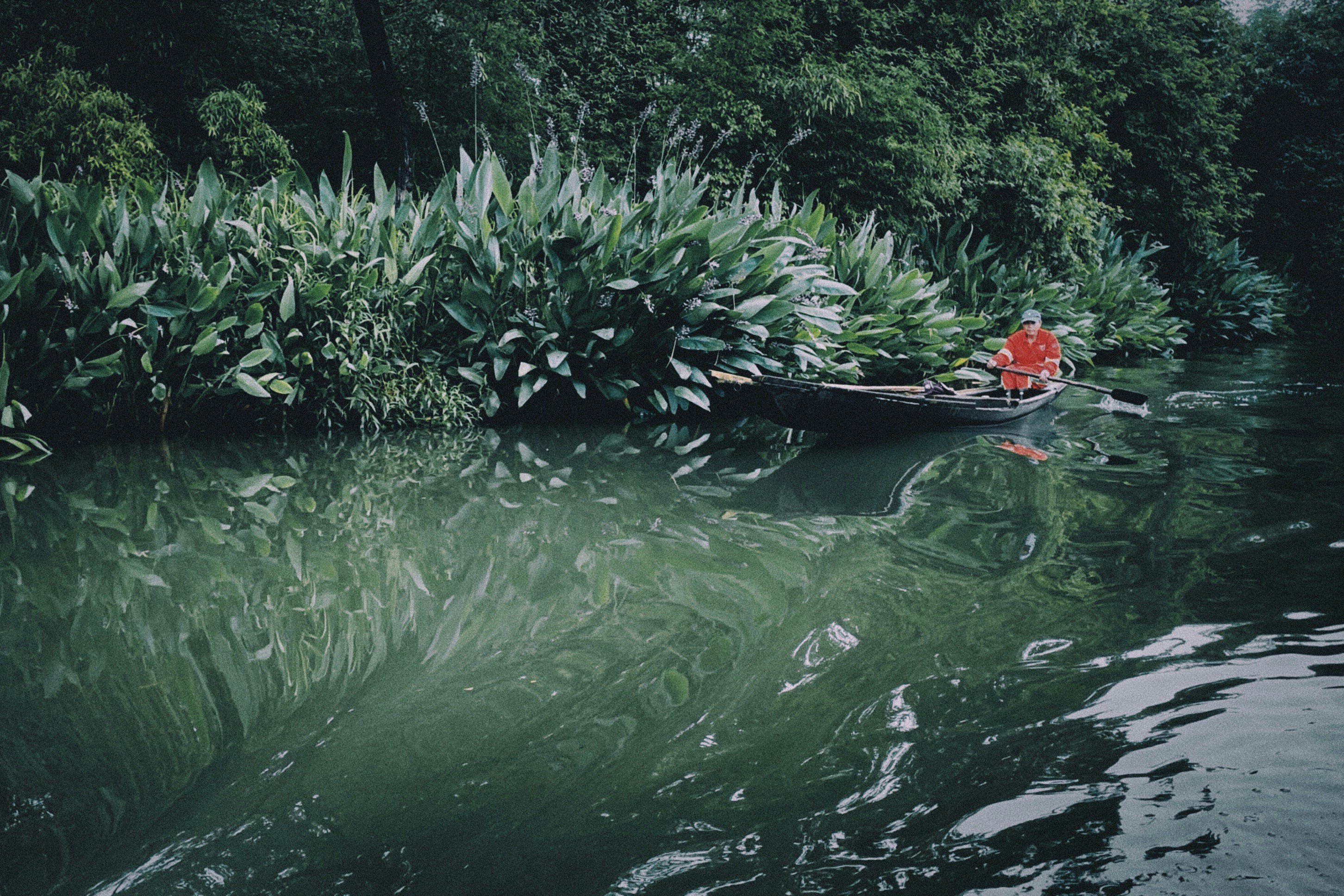 Photo by geraltyichen