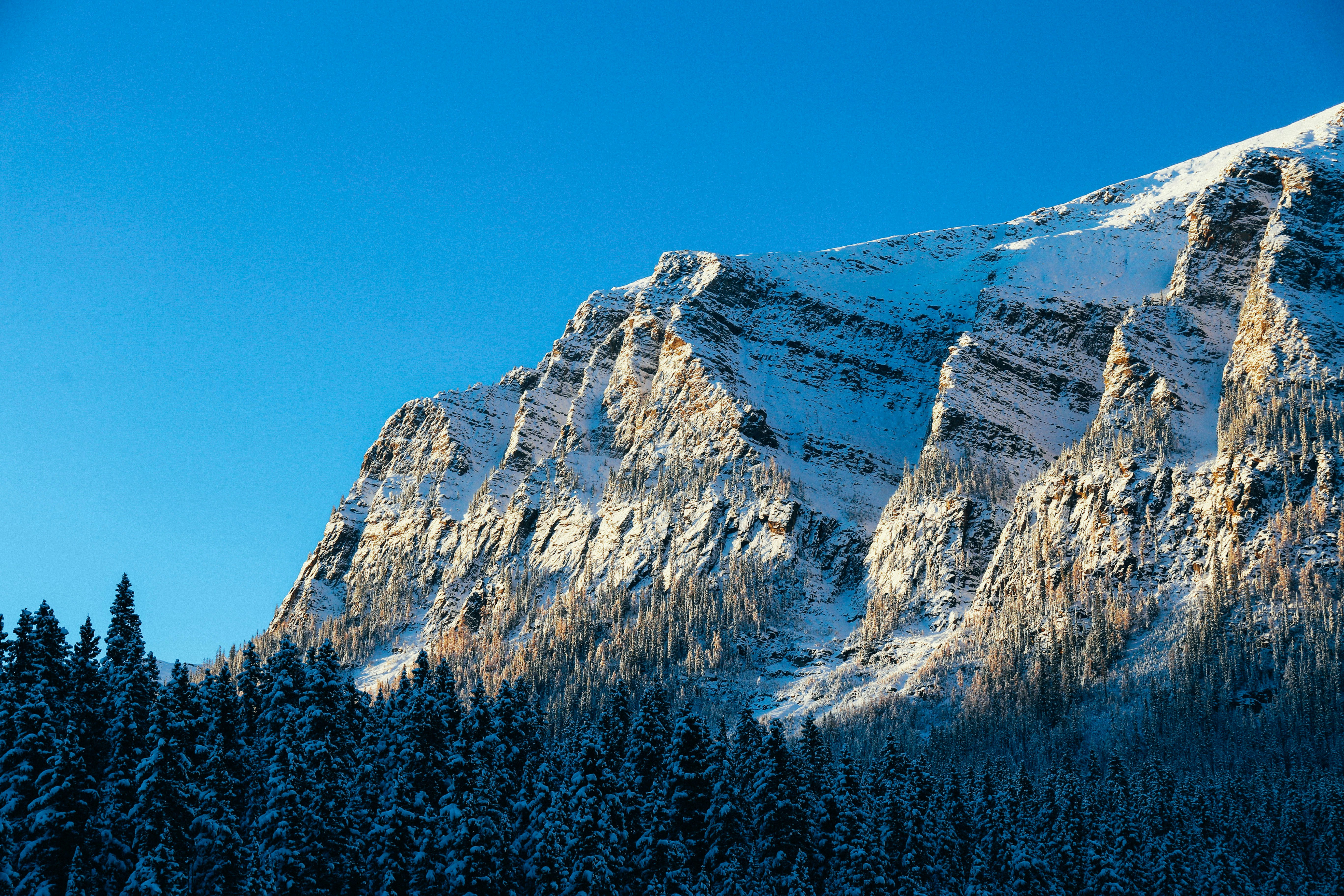 Photo by tommaomaoer