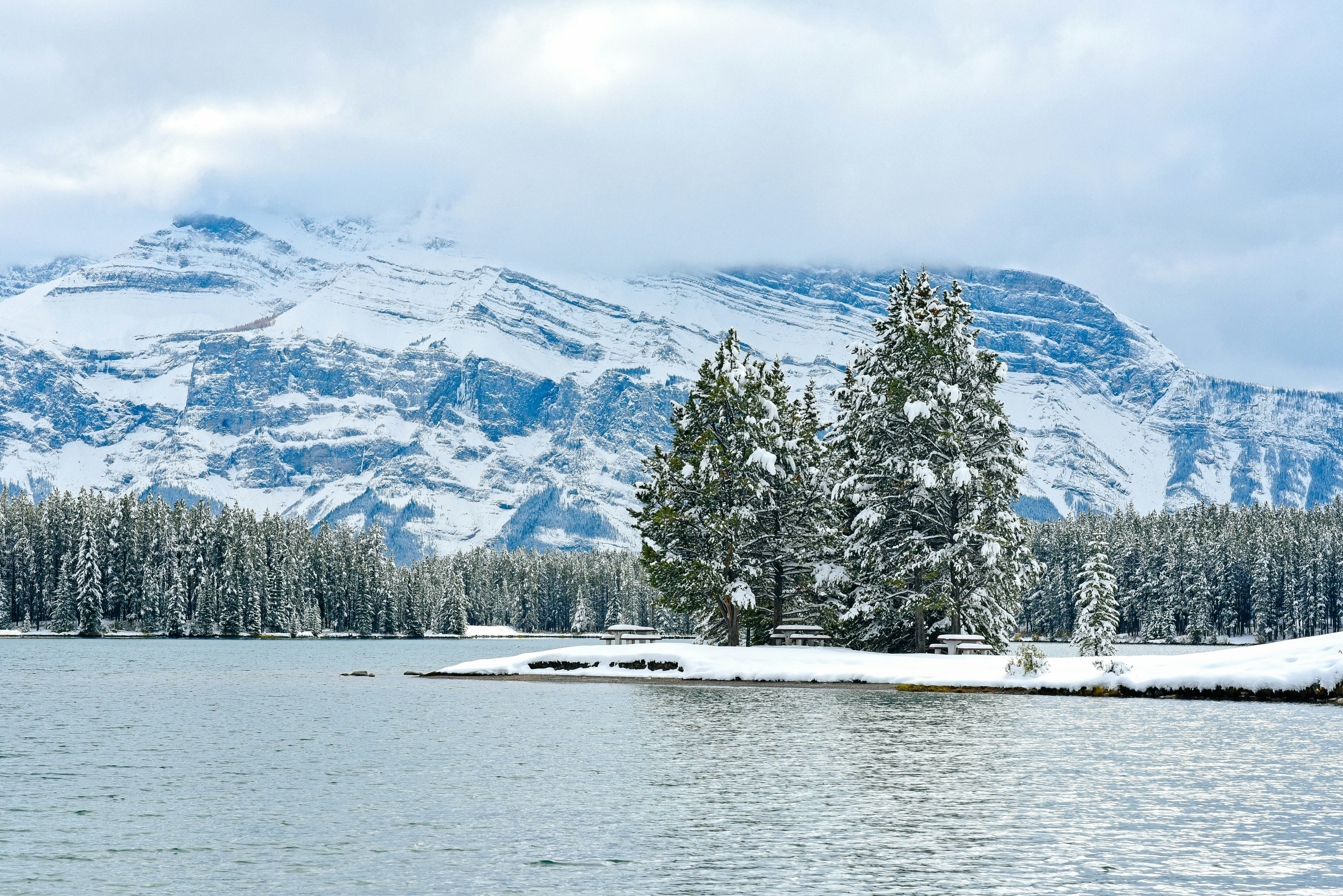 Photo by tommaomaoer