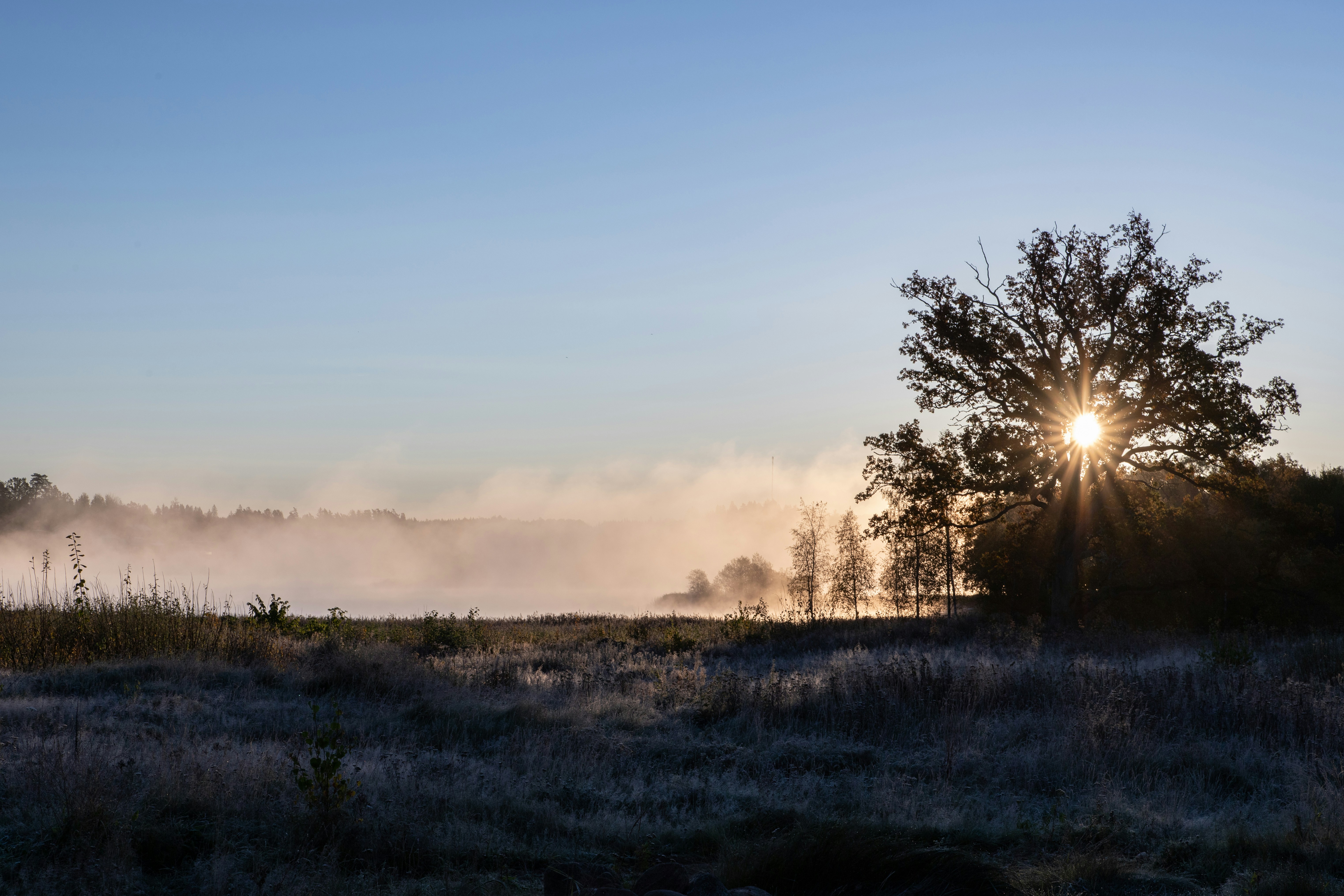 Photo by magnusostberg