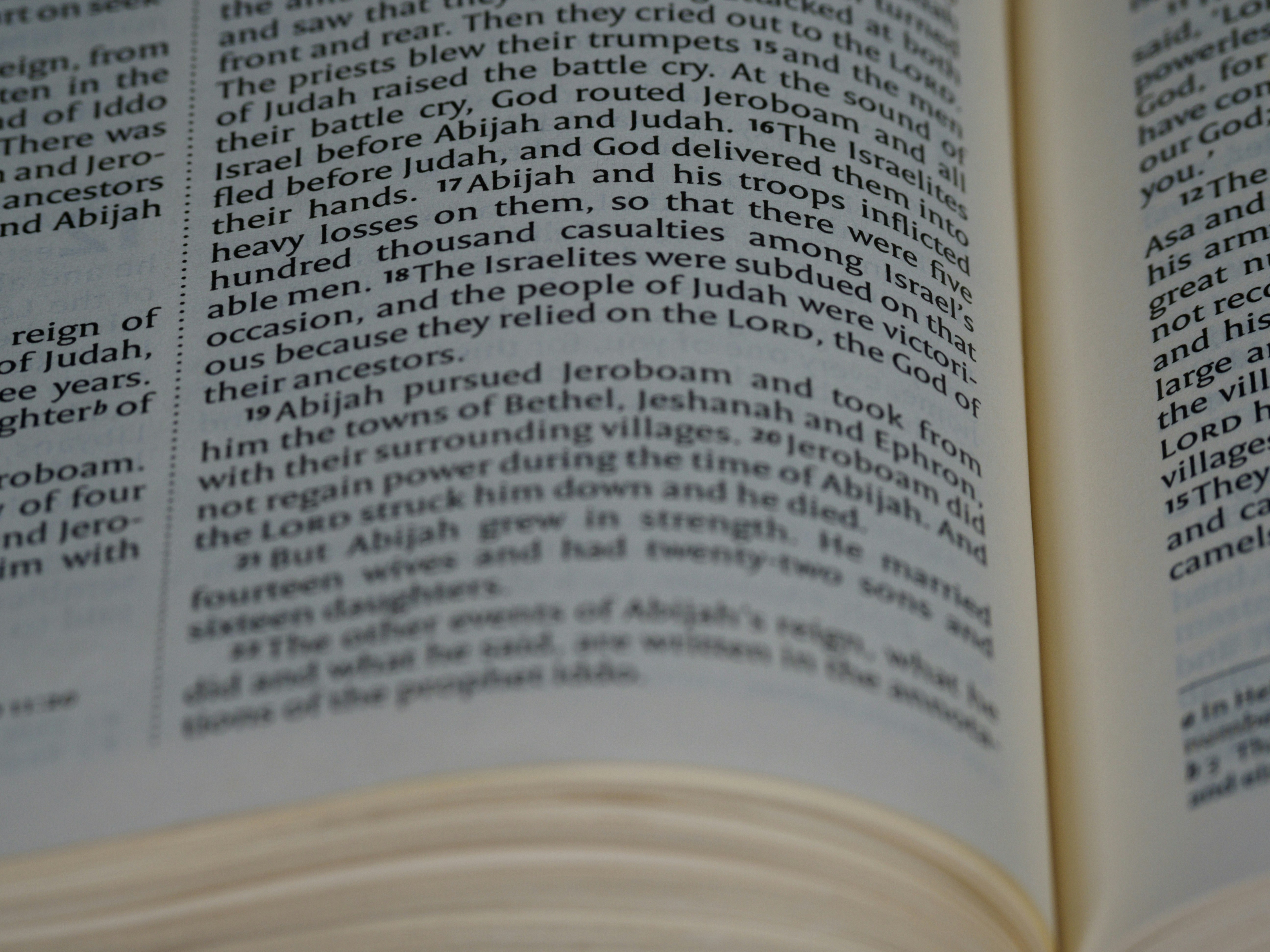 Photo by brett_jordan