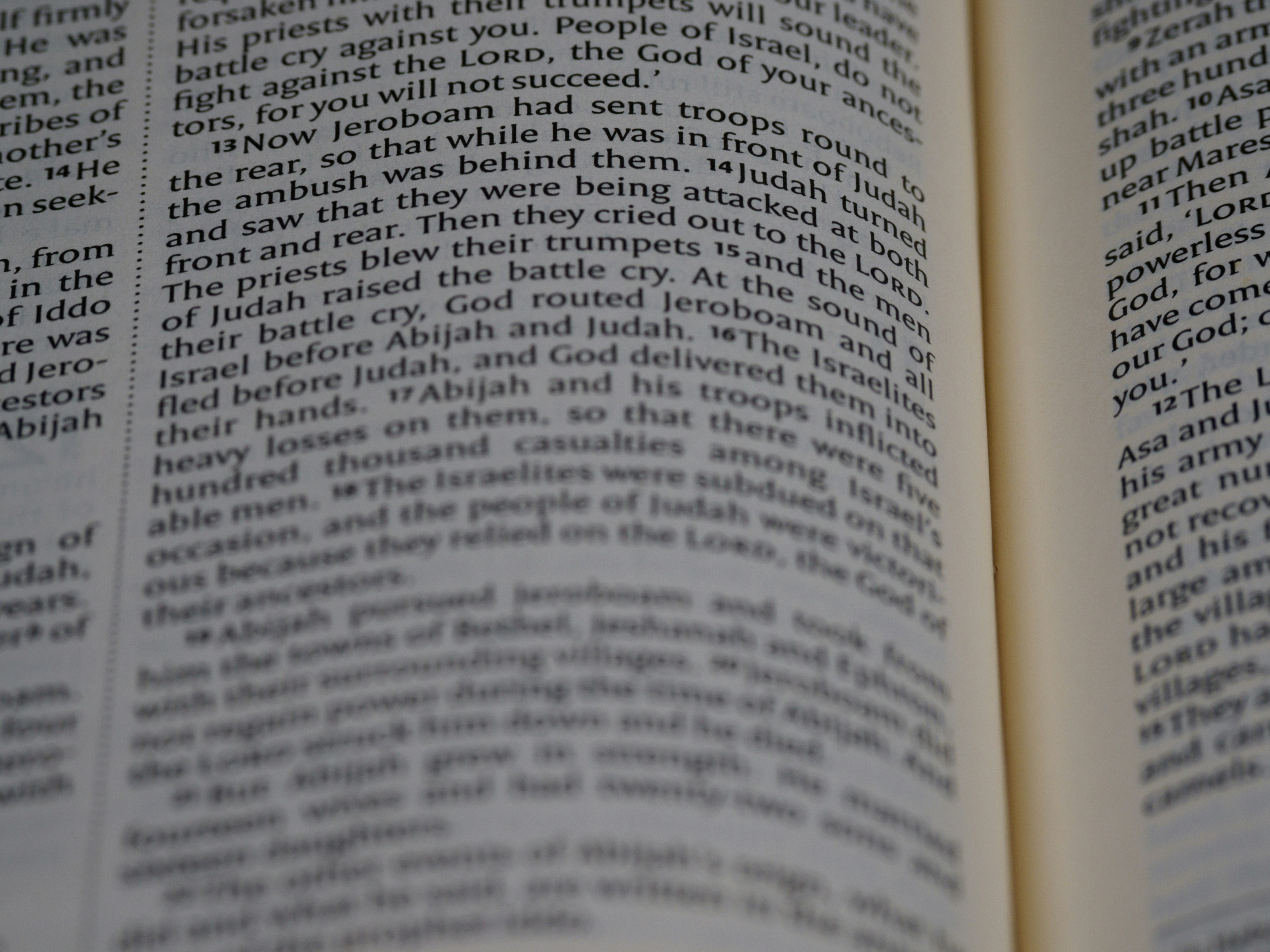 Photo by brett_jordan