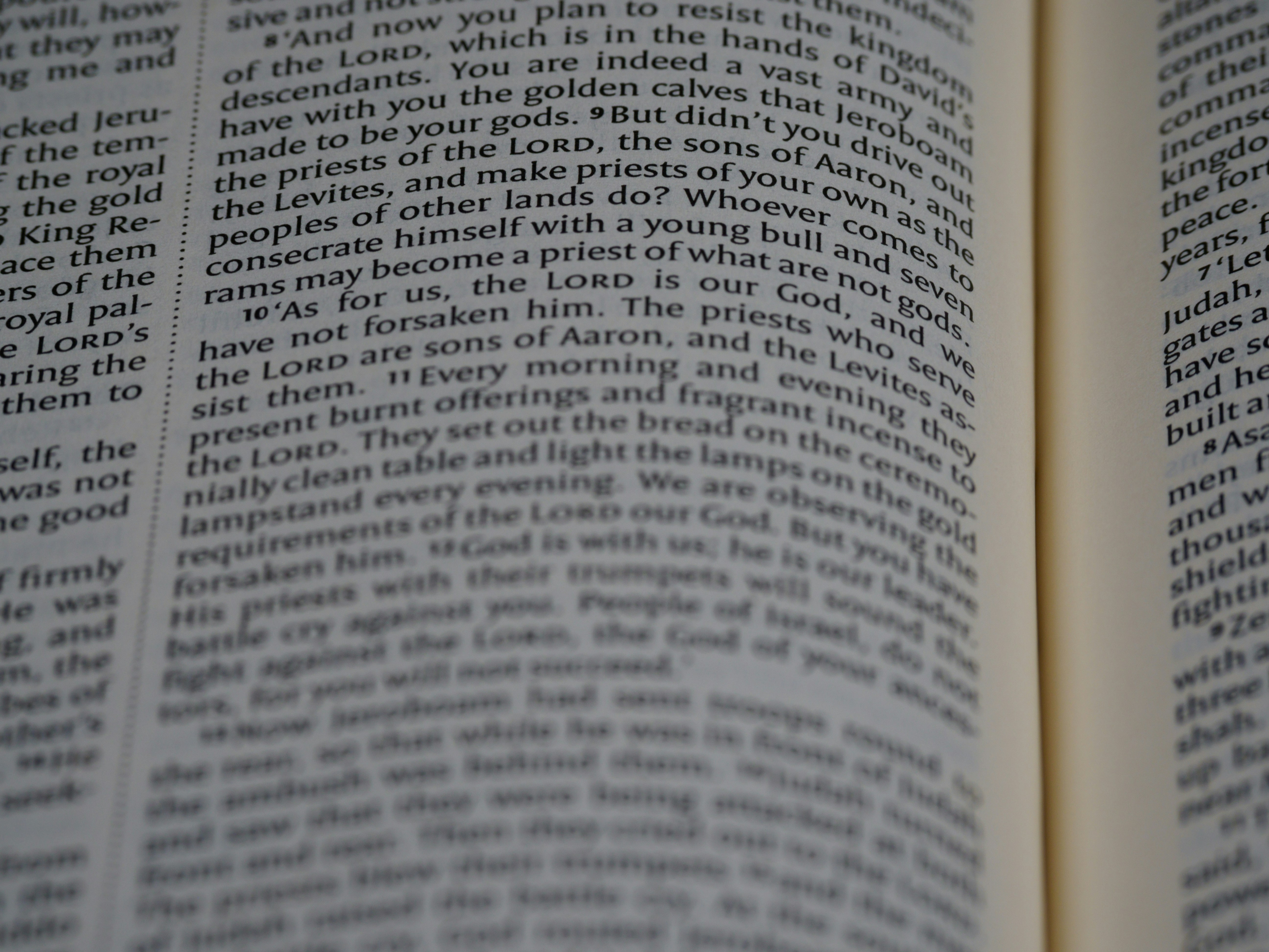 Photo by brett_jordan