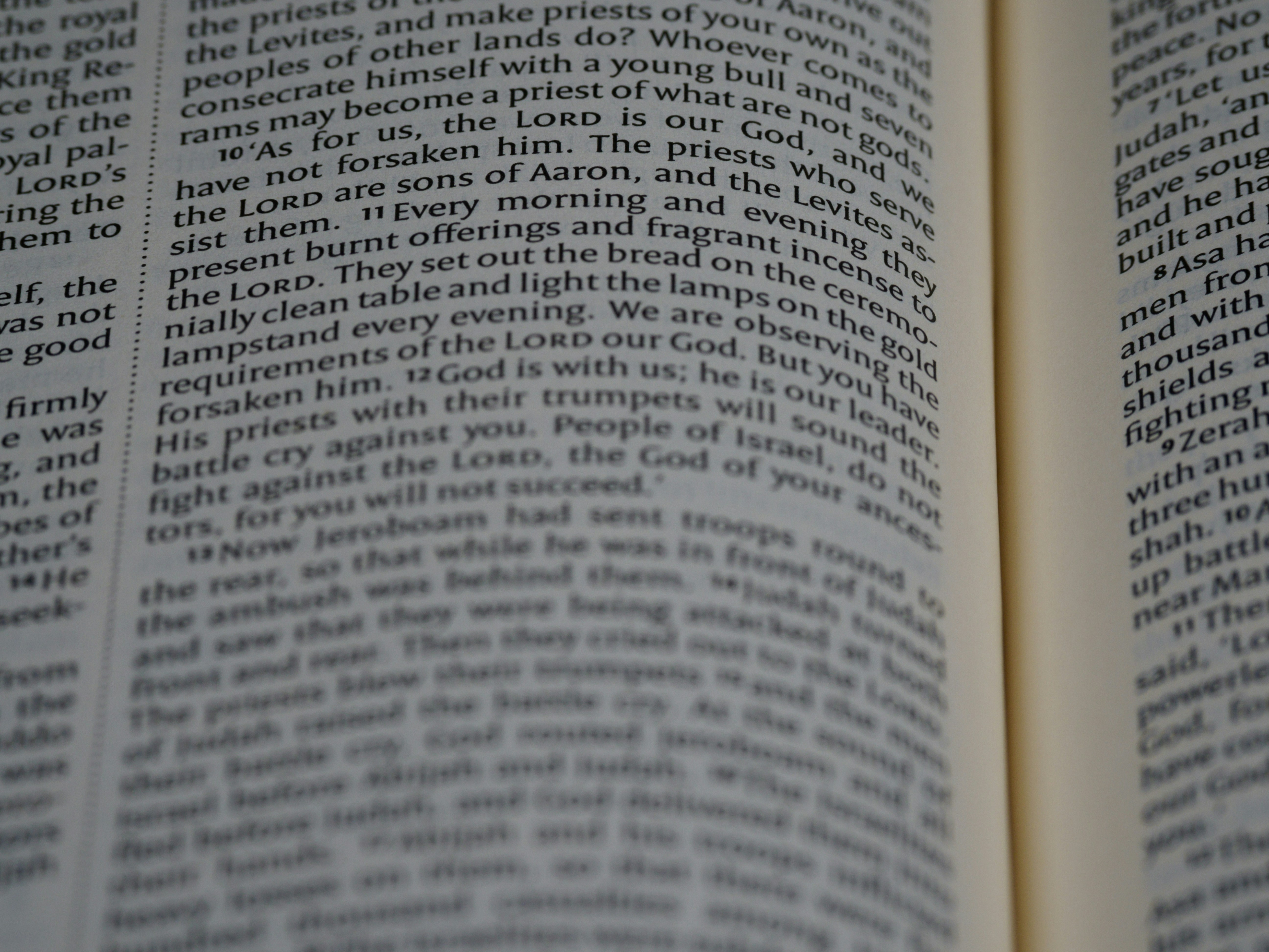 Photo by brett_jordan