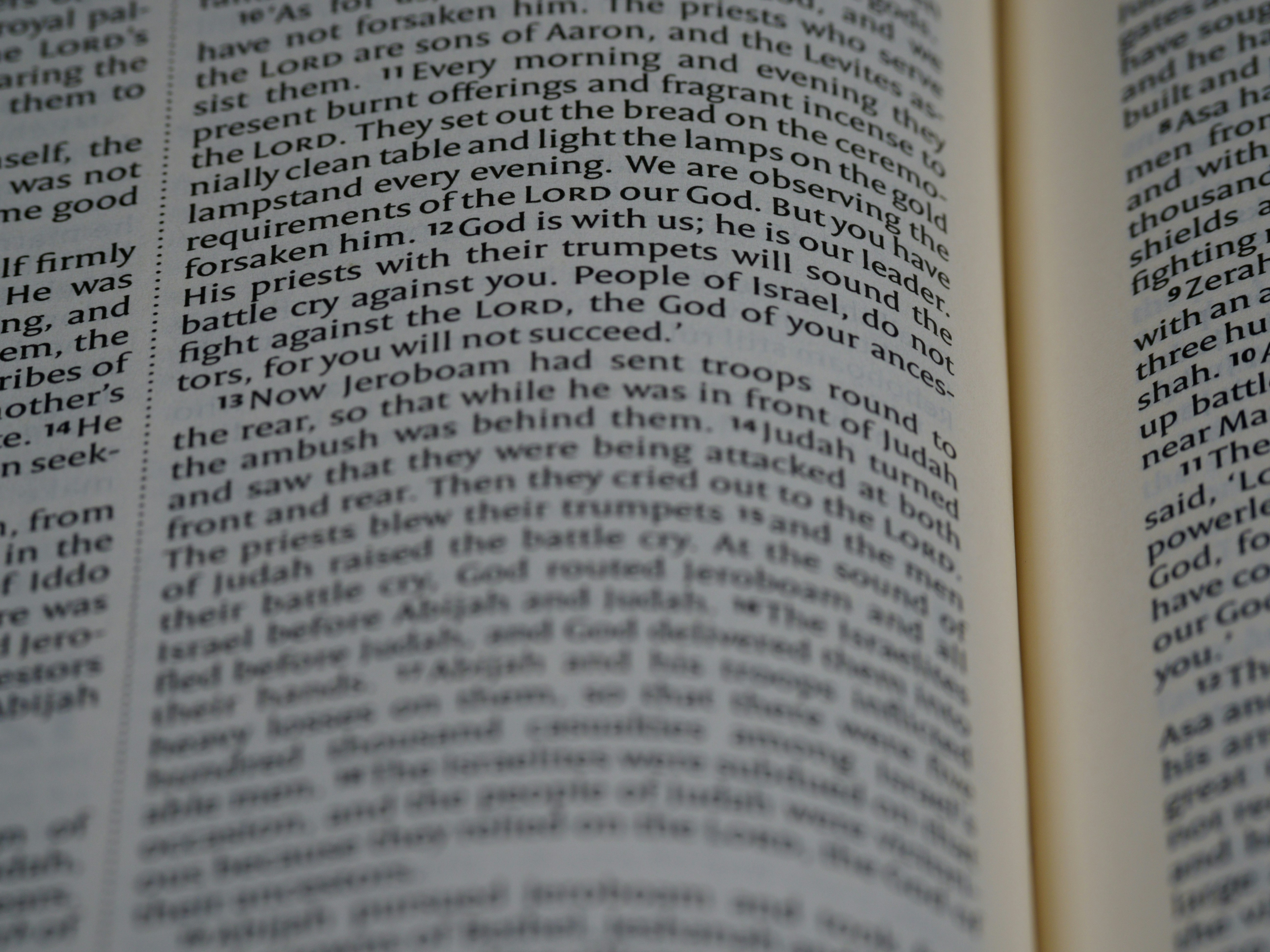 Photo by brett_jordan