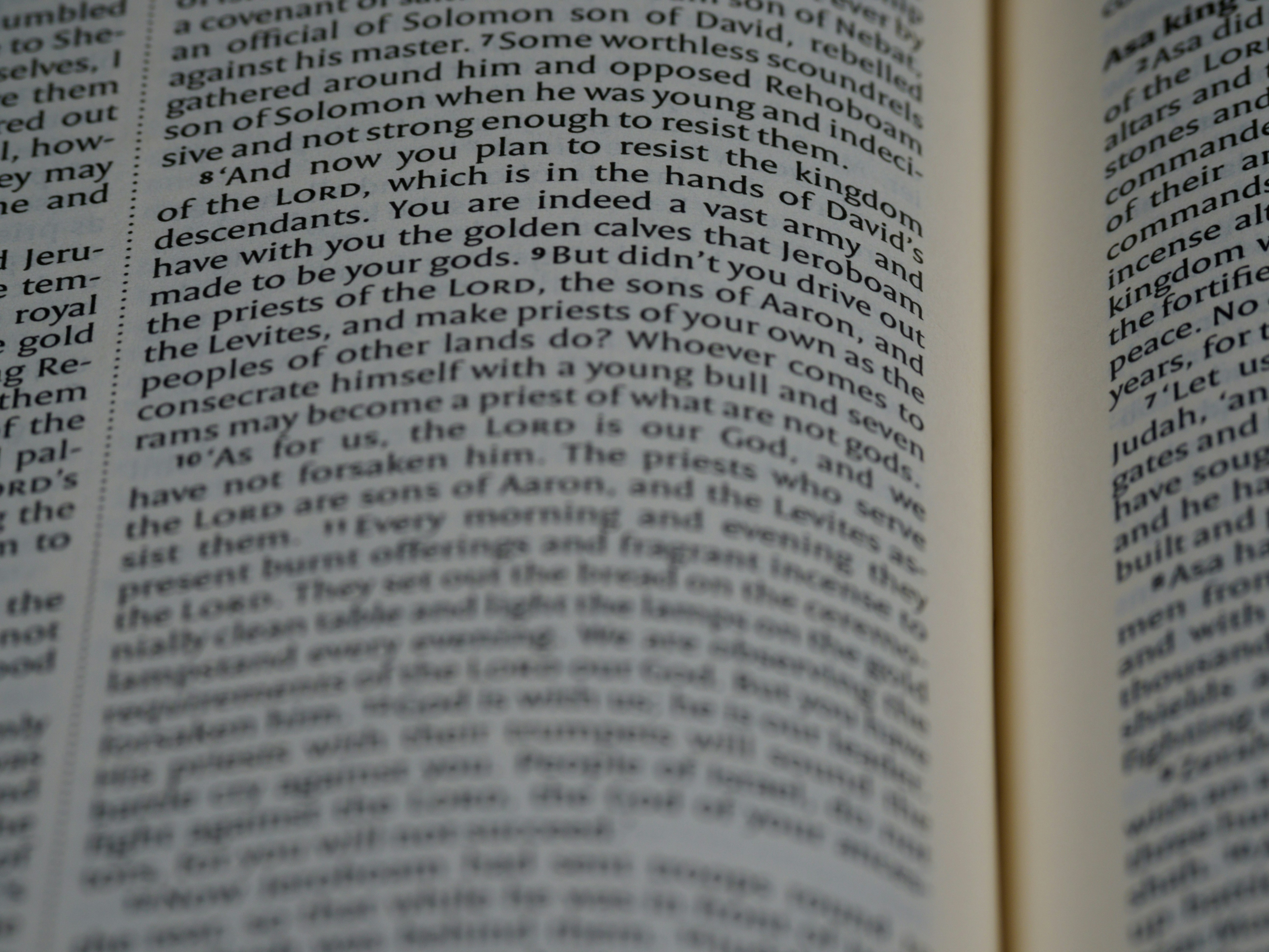 Photo by brett_jordan