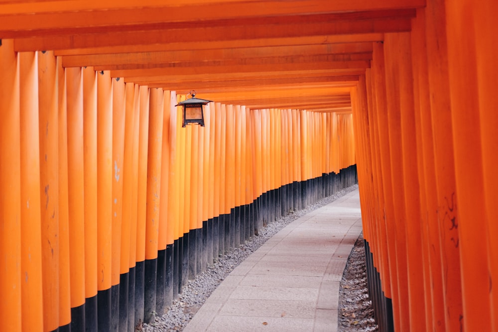 a walkway lined with orange columns leading to a light