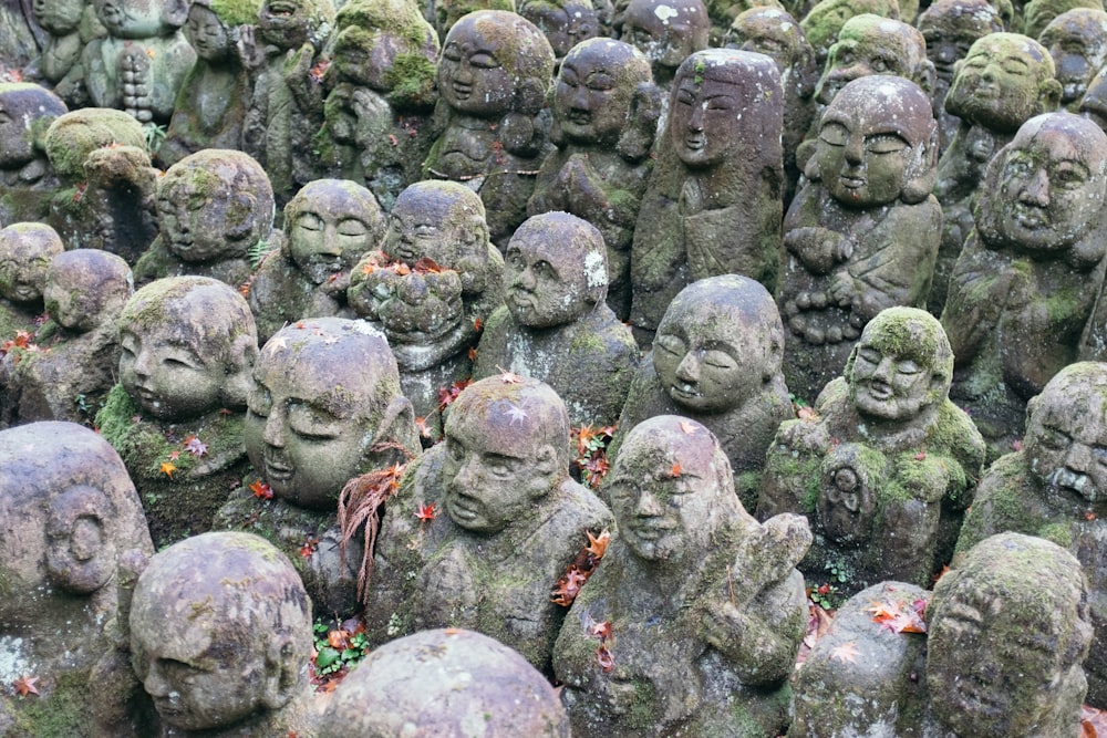 a large group of heads of buddha statues