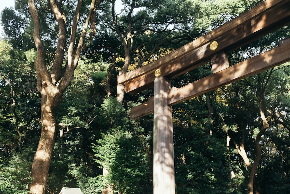 a wooden structure in the middle of a forest