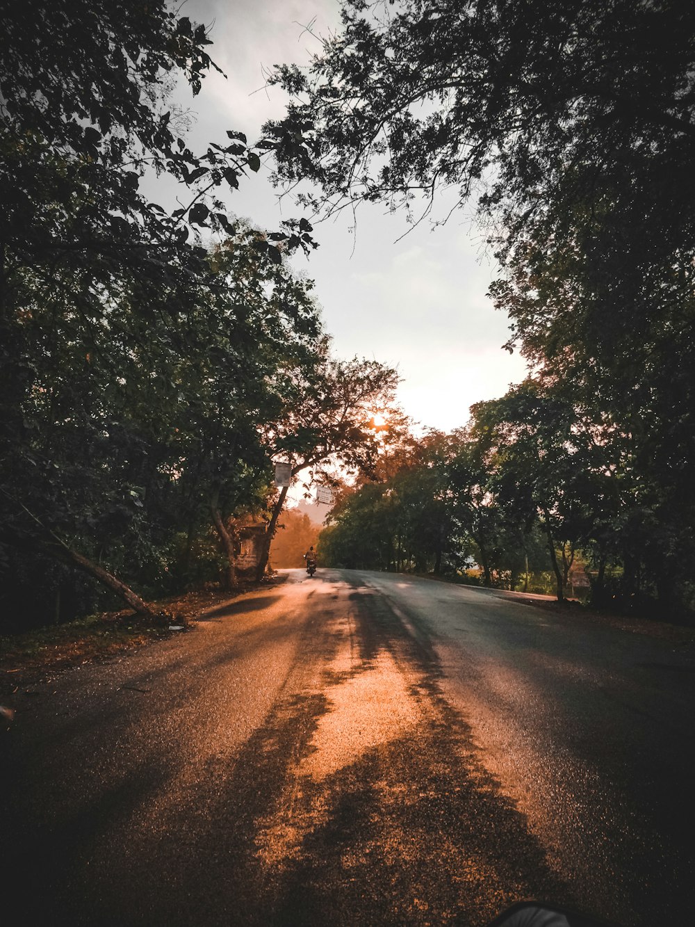 the sun is shining through the trees on the road