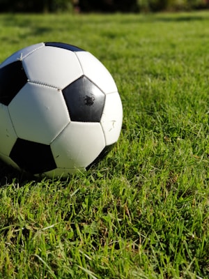 Close-up of a glossy soccer ball resting on green grass under bright sunlight.