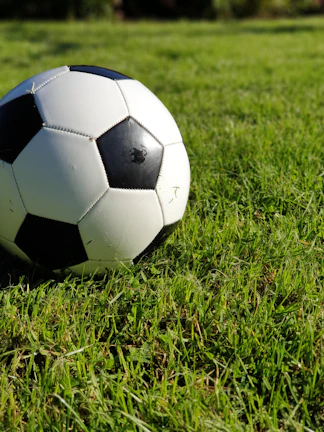 Close-up of a colorful soccer ball resting on fresh green grass under bright sunlight.