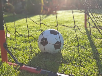 A soccer ball resting near the goalpost with early morning dew on the grass.