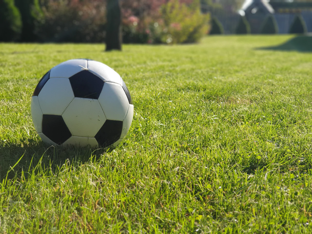A football resting on a sunlit grass pitch