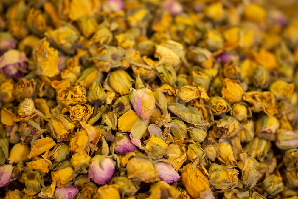 a close up of a bunch of yellow and pink flowers