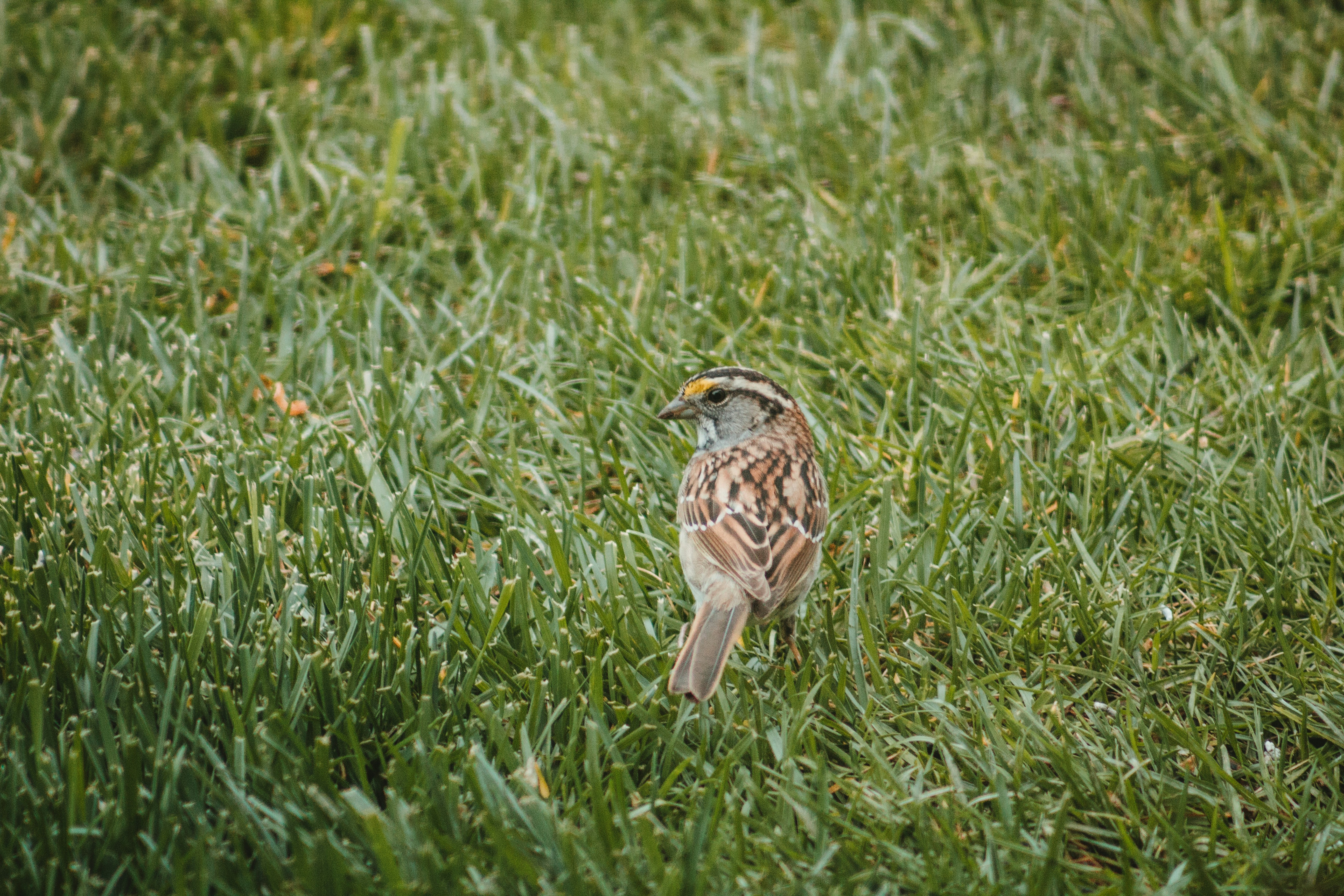 Photo by fosterious