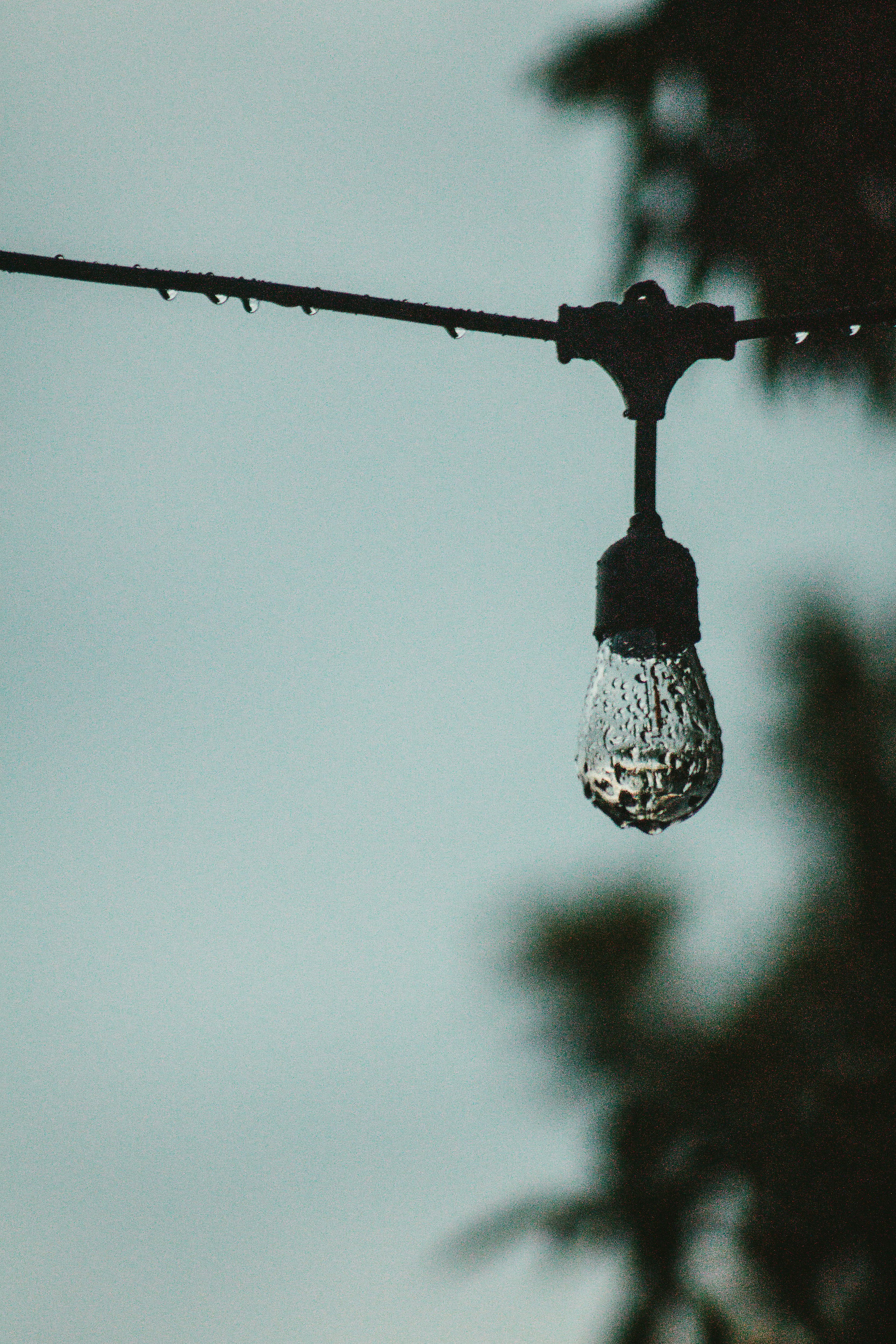 Lighting after the rain.