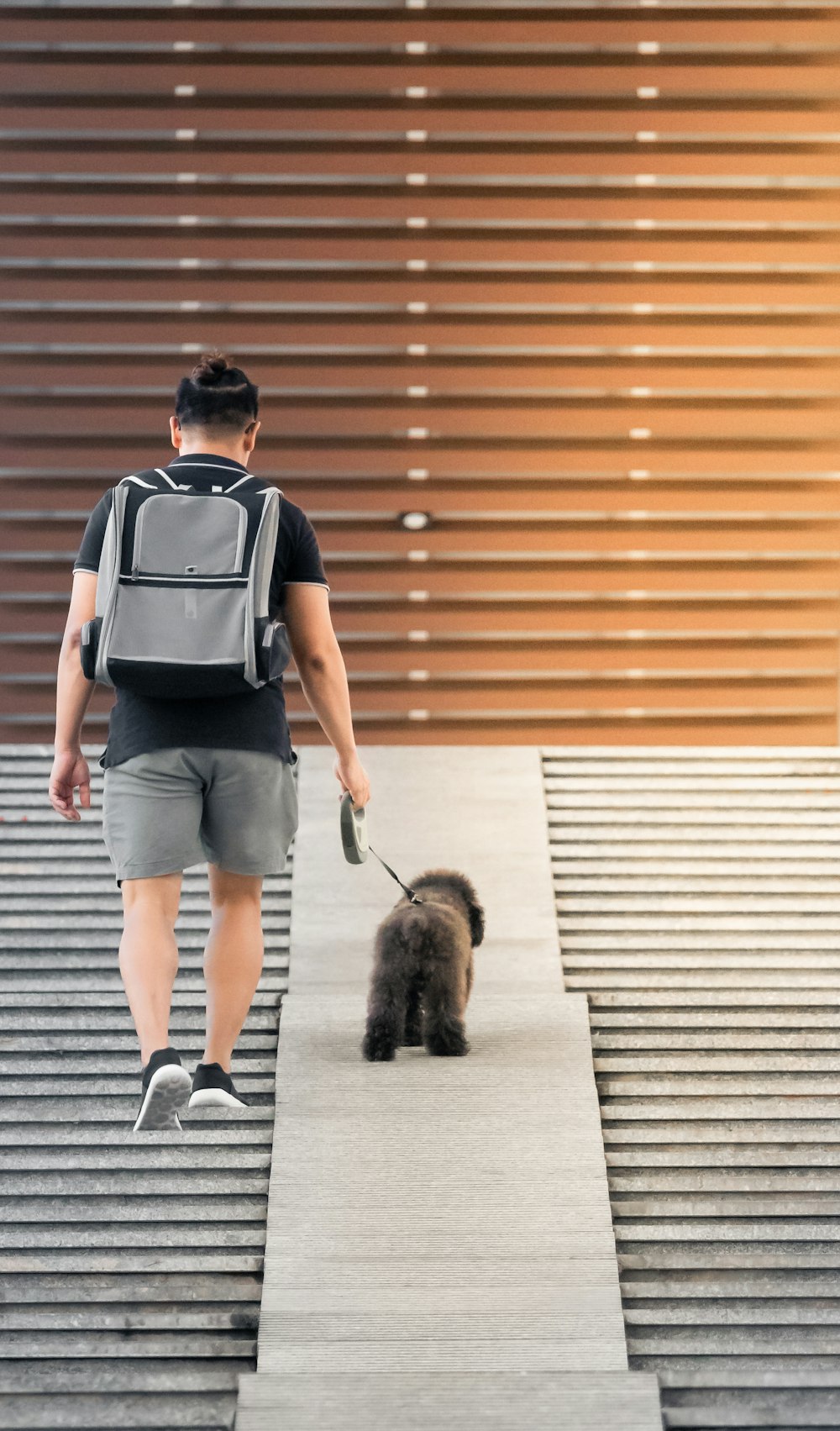 a man walking a dog down a flight of stairs