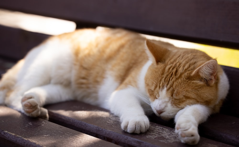 an orange and white cat sleeping on a bench