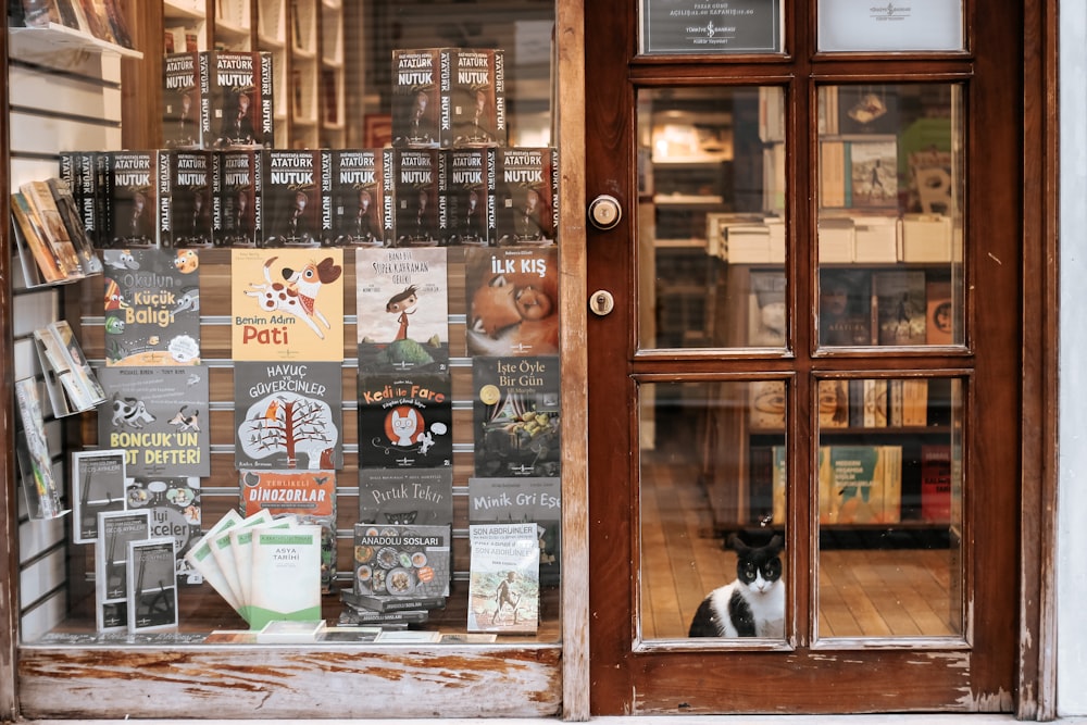 a cat sitting in the window of a store