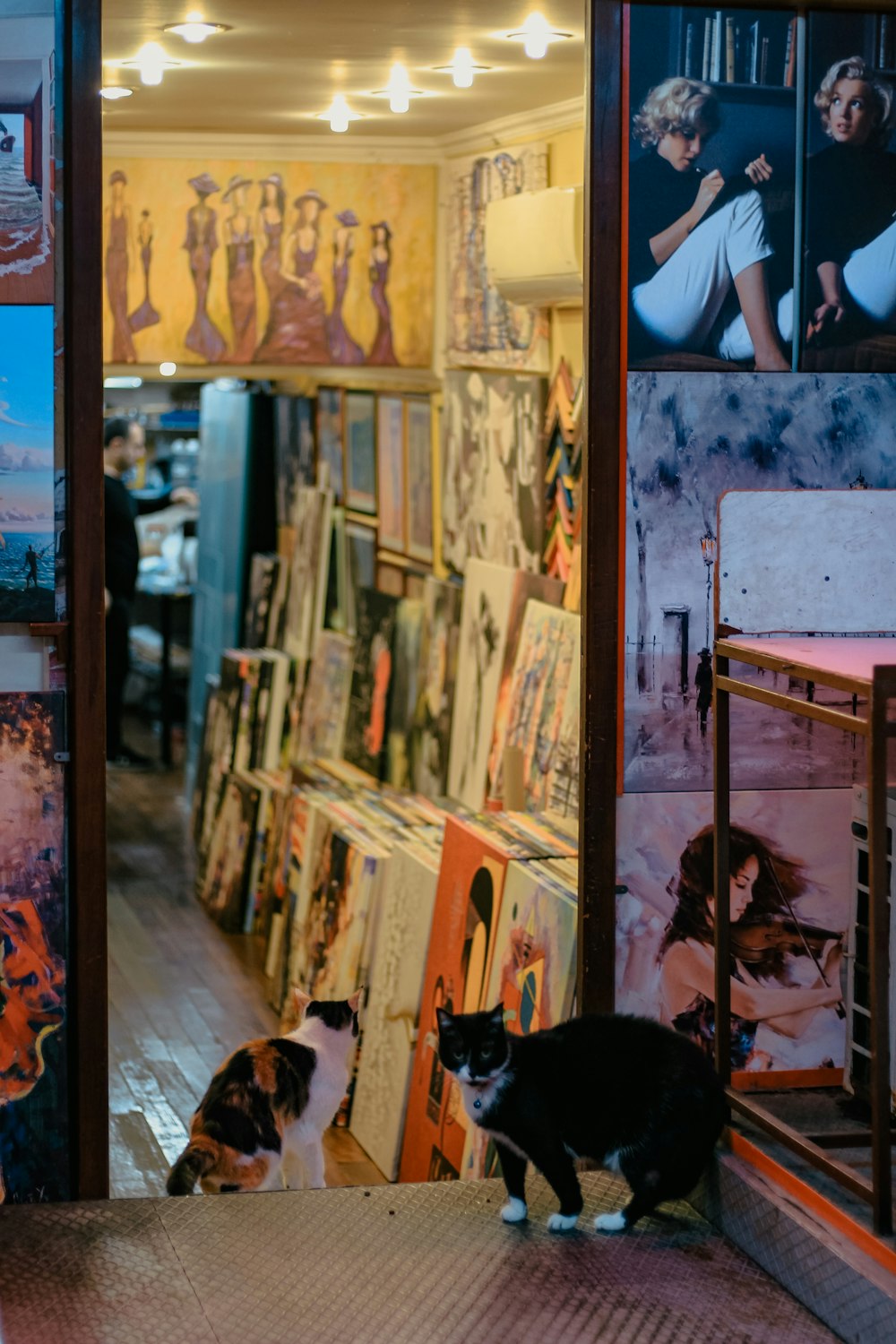 a couple of cats that are standing in front of a store