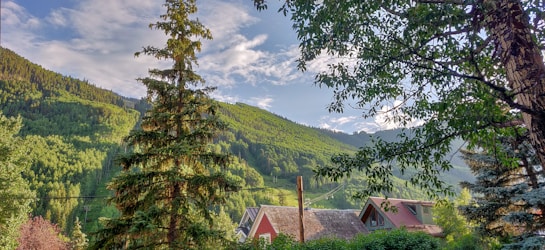 A lush, green mountain landscape with a few houses nestled among dense trees and foliage. The sky is blue with scattered clouds, and the sunlight creates a warm, inviting atmosphere.