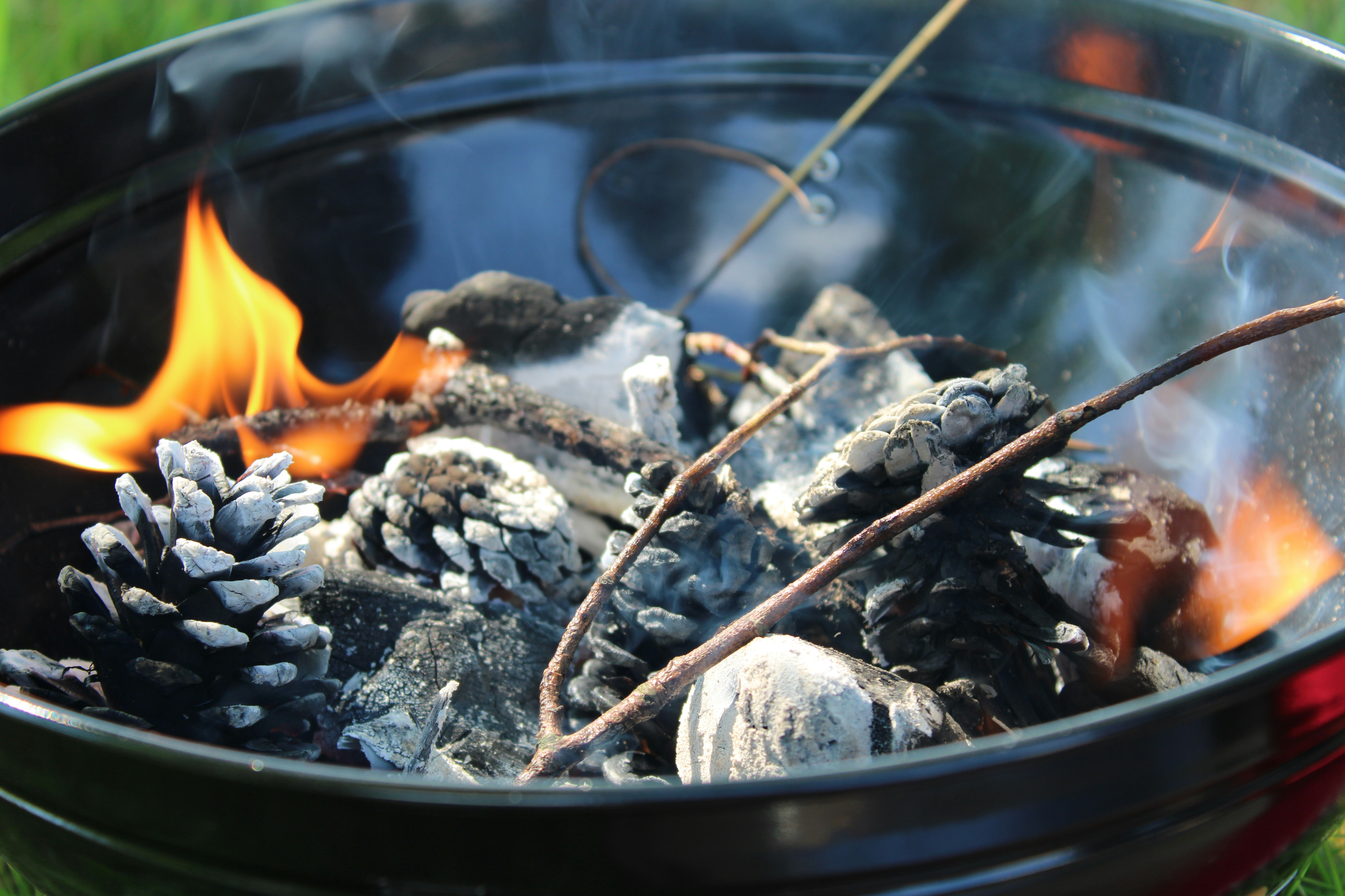 Photo by starbutterfly