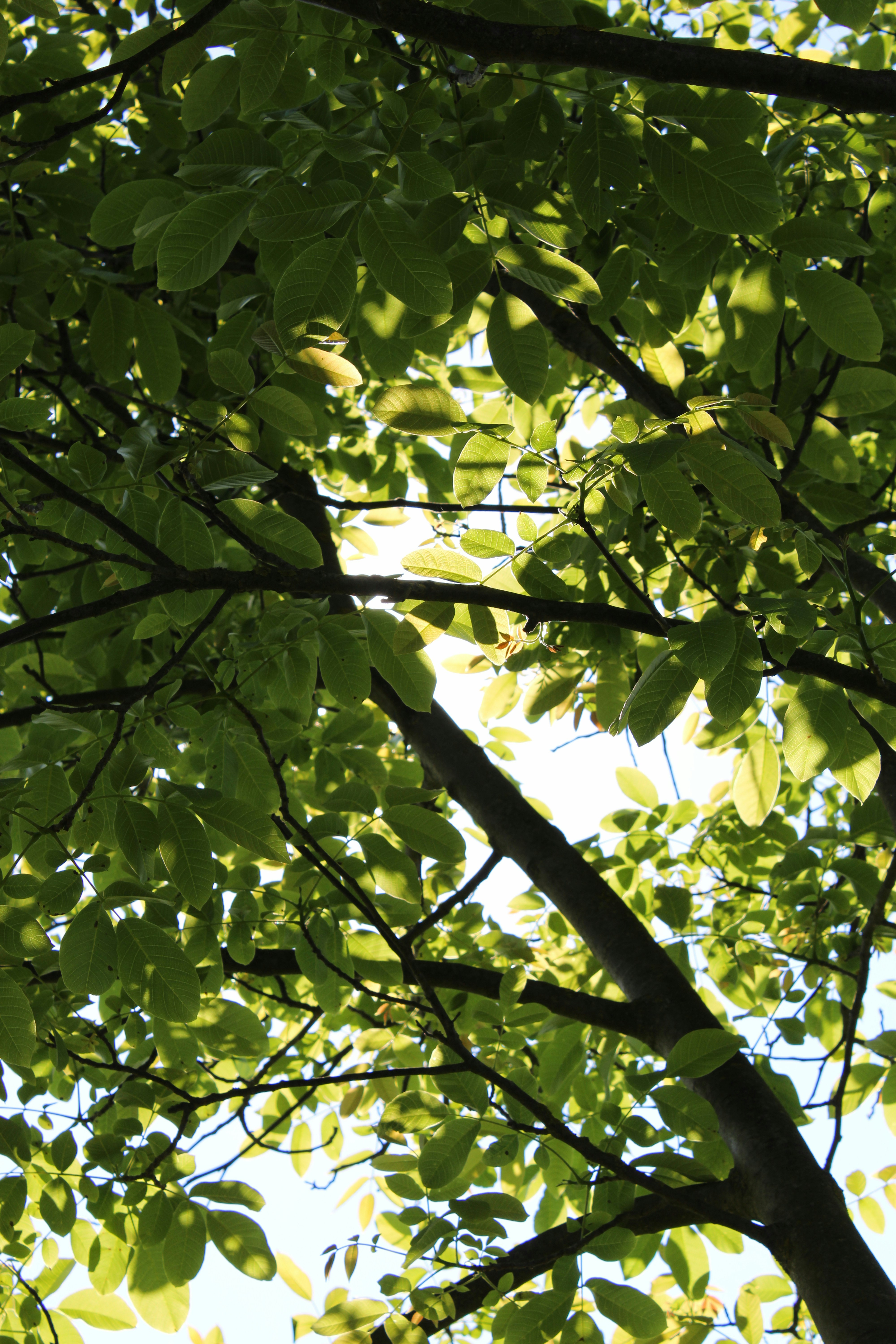 Photo by starbutterfly