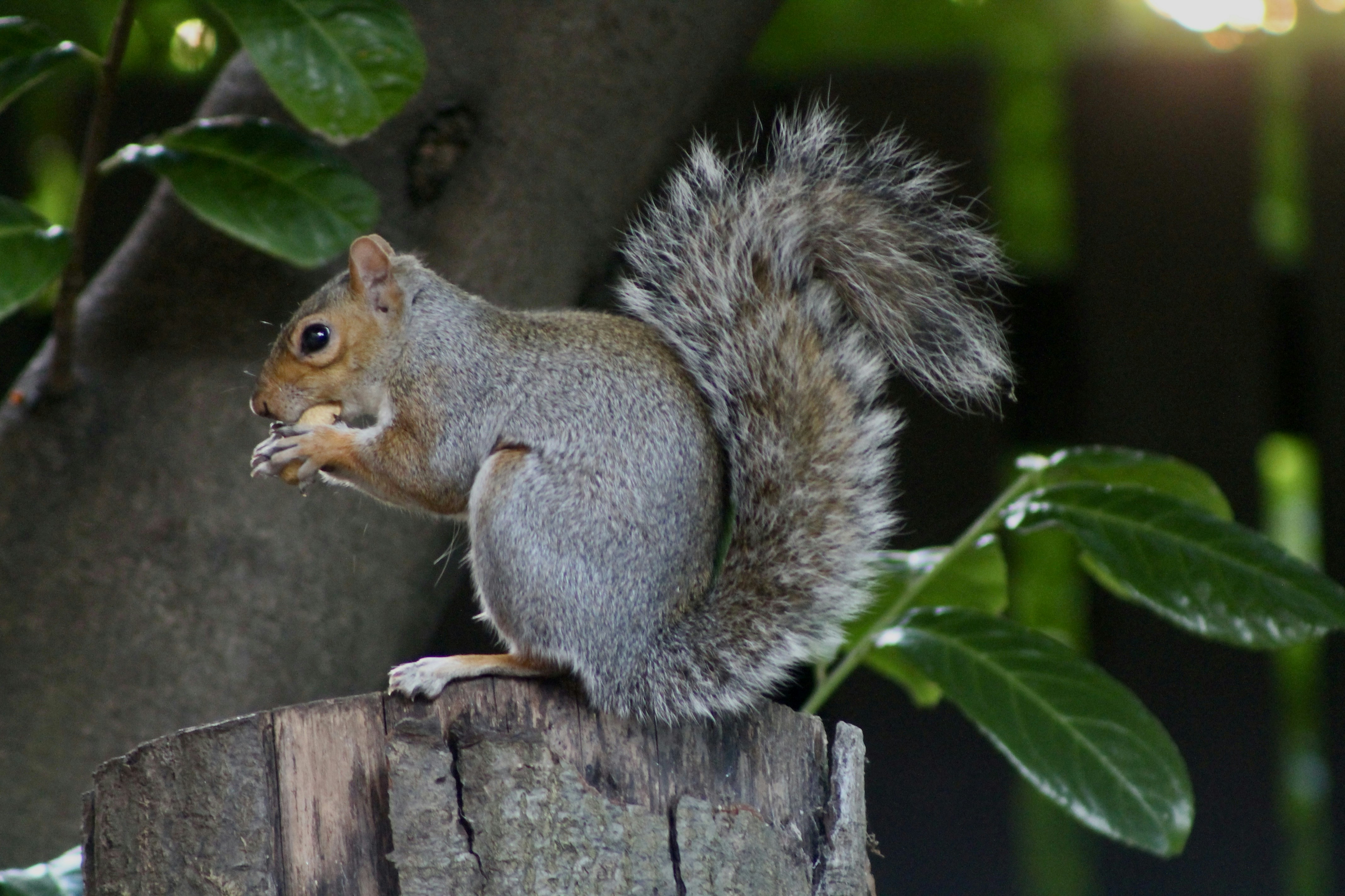 Photo by photoguy1234