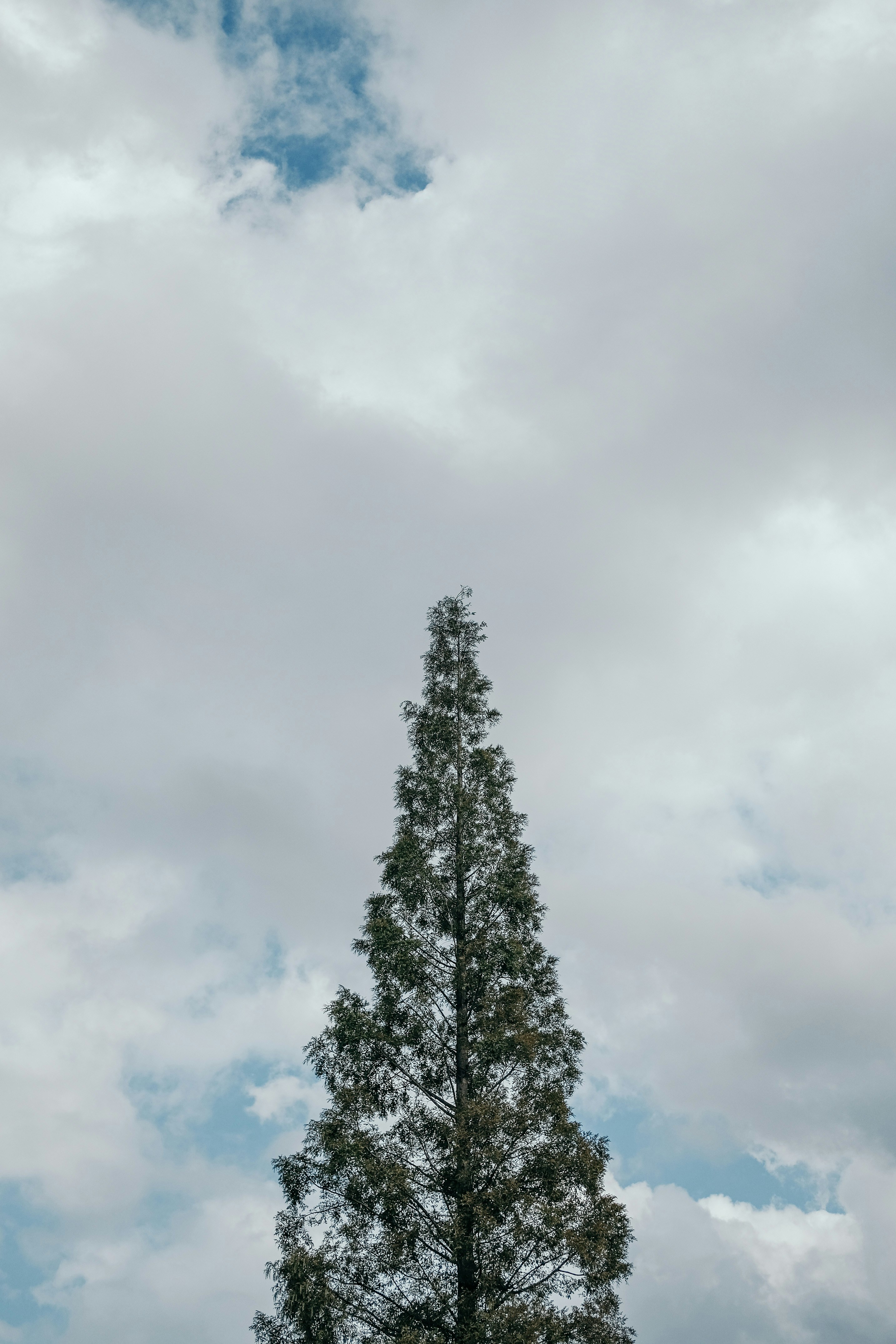 Photo by insungpandora