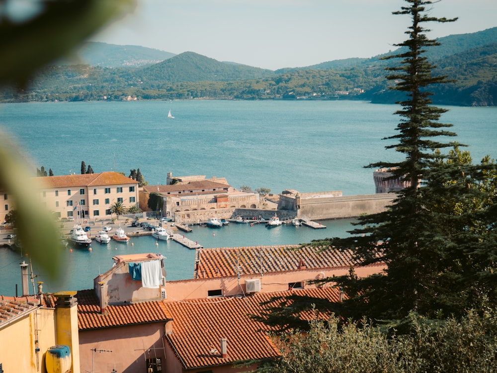 a view of a harbor with boats in the water