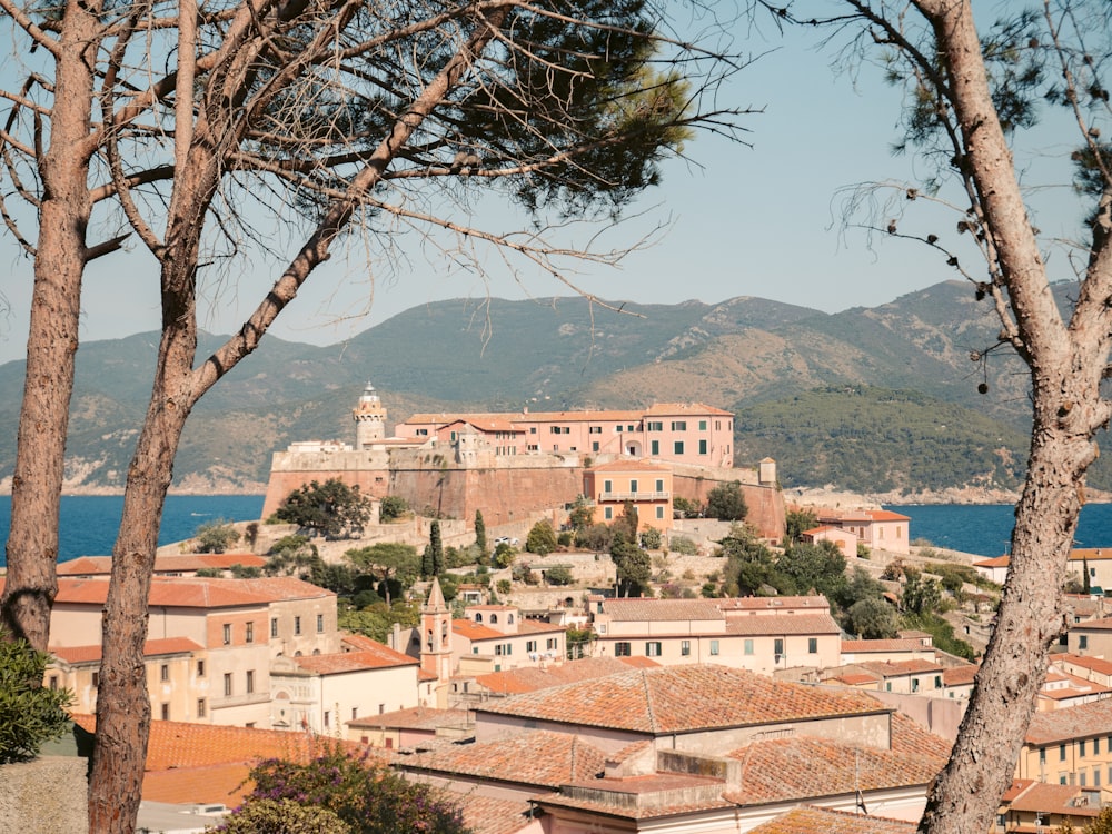 a view of a city with a castle in the background