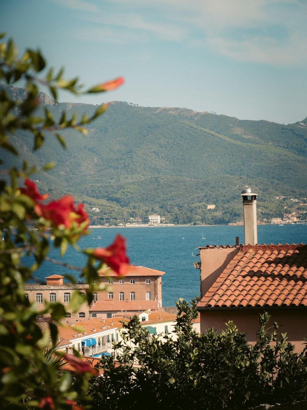 a view of a body of water from a building