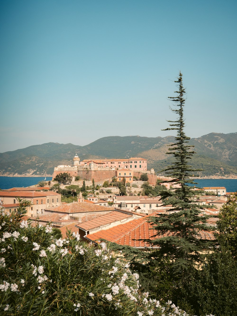 a scenic view of a town with flowers in the foreground