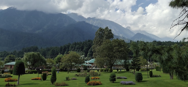A vibrant green landscape showcasing well-maintained gardens.
