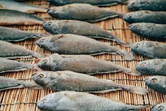 Multiple fish are laid out in neat rows on a bamboo mat for drying. The fish have a uniform grayish color, and their eyes are prominently visible.