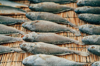 Hand carefully packaging hygienic dry fish for export.