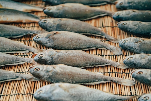 Multiple fish are laid out in neat rows on a bamboo mat for drying. The fish have a uniform grayish color, and their eyes are prominently visible.